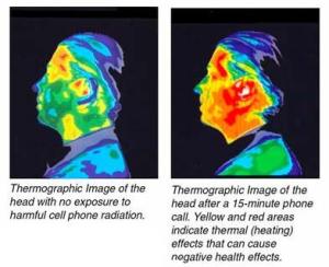 Thermal Effects of Cell Phone Radiation